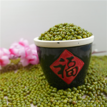 Nouvelle culture chinoise Green Mung Beans